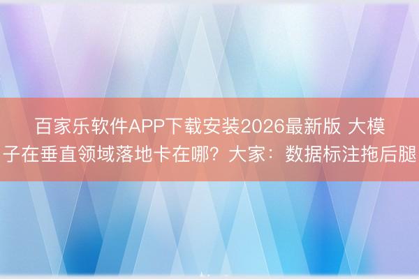 百家乐软件APP下载安装2026最新版 大模子在垂直领域落地卡在哪？大家：数据标注拖后腿